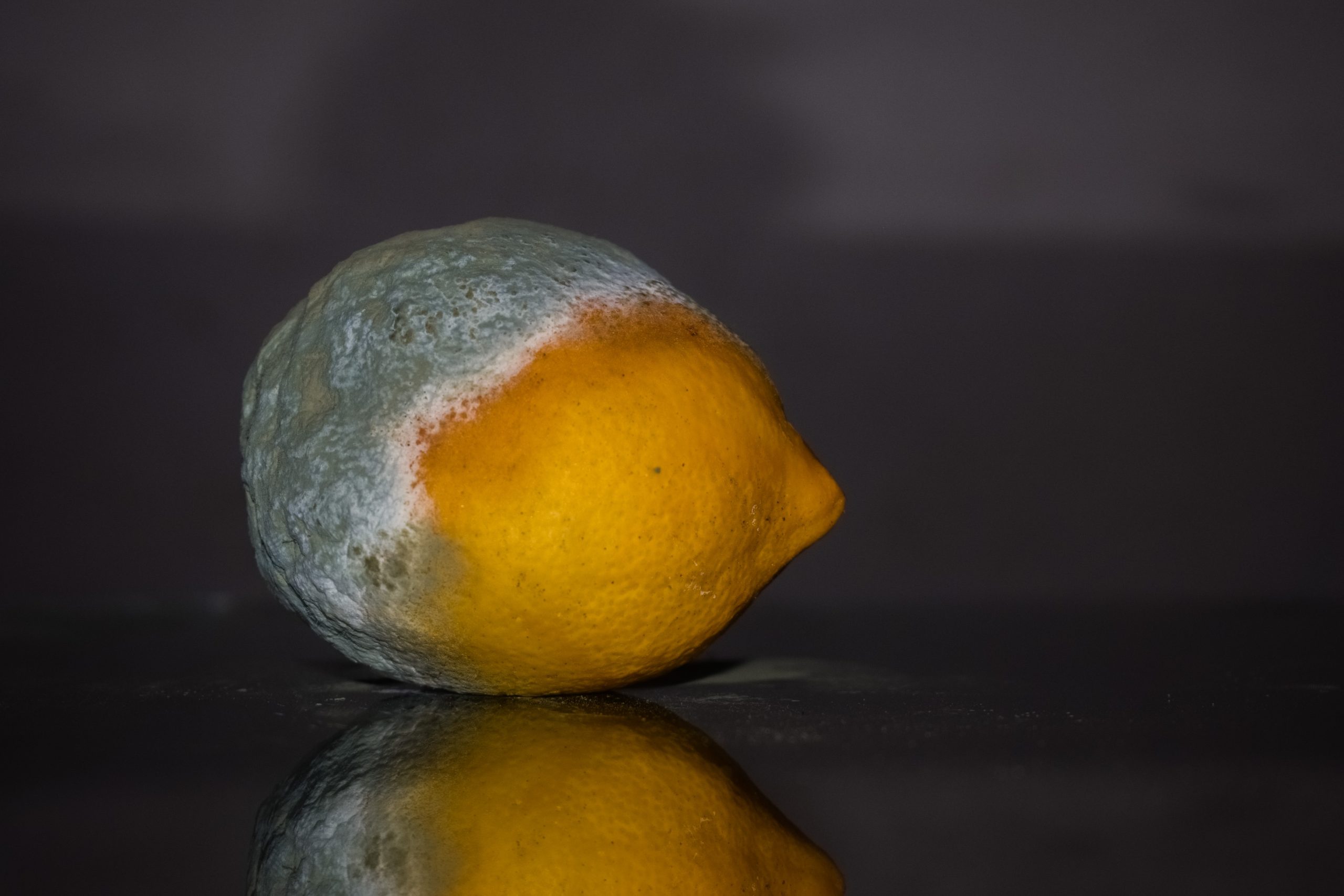 Zitrone mit Schimmel